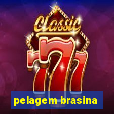 pelagem brasina